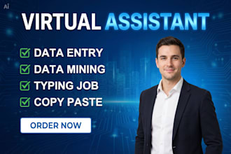 be your virtual assistant for data entry,copy paste, data mining ,data formating
