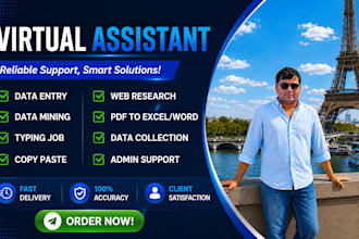 be your virtual assistant for data entry, data mining, web research