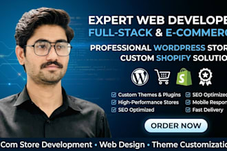 provide professional websites,e commerce stores