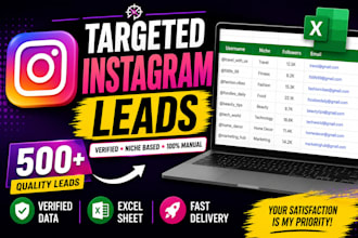 provide targeted instagram leads in excel sheet