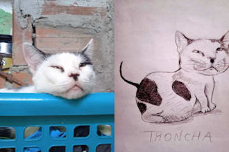 draw a noob hand drawn sketch of anything