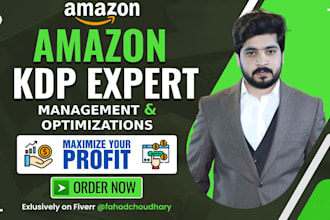 audit and optimize amazon KDP ads for book promotion, KDP marketing