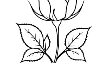 convert your image into tattoo, stencil art or silhouette
