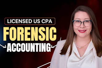 perform forensic accounting, tax fraud investigation, tax audit, forensic review