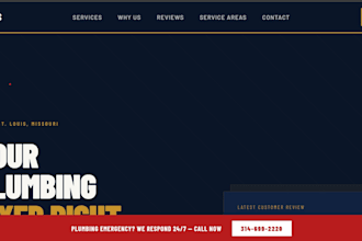 build a professional brand website for startups and businesses
