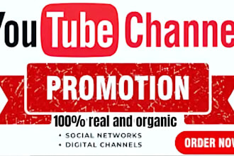 do youtube channel promotion and video marketing for growth and monetization