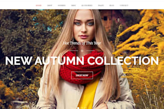 build shopify streetwear website clothing shopify store clothing brand website