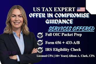 guide you through offer in compromise, prepare your irs oic filing, tax expert