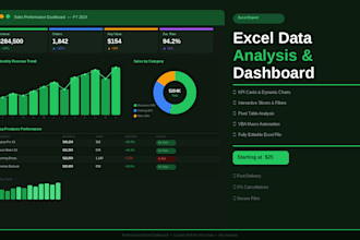 create a professional excel data analysis dashboard with charts and kpis