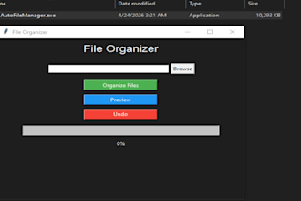 build a custom file organizer or automation tool using python