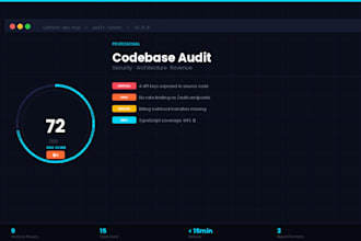do a professional codebase audit for your saas with security and revenue insight