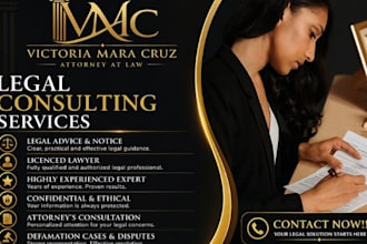provide professional legal consulting advice and attorney support