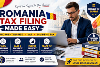 prepare romania microenterprise tax vat dividend tax filings
