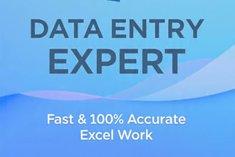 do accurate data entry, excel data entry, typing work in 24 hours