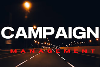 manege your traffic junky exoclick campaign for more ROI