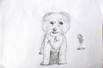 pencil draw your pet