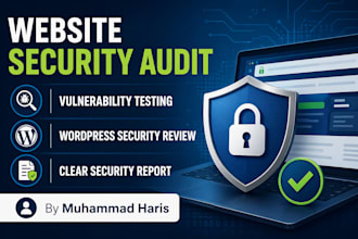 audit and secure your website