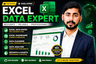 do data analysis, entery, excel dashboard and PDF conversion