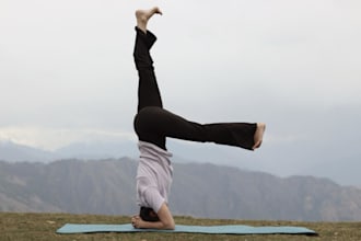 guide alignment based hath yoga and meditation