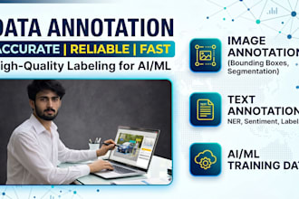 do professional image annotation and labeling