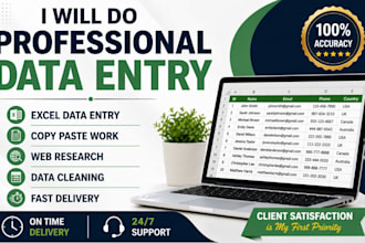 do professional work on  microsoft