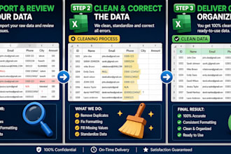 do excel, spreadsheet data cleaning and data standardization