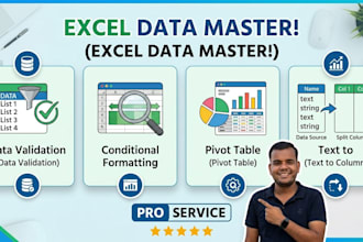 pivot table, data validation and formatting
