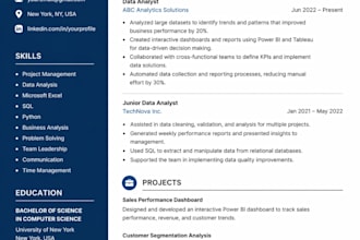 ats resume writer ,CV expert ,24hr delivery