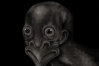 create creepy semi realistic horror illustrations