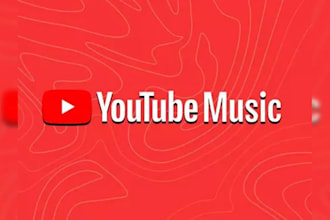 do best USA youtube video promotion