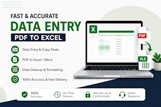 do fast data entry, copy paste, pdf to excel, data cleanup