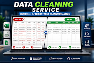 do professional data cleaning and excel data structuring