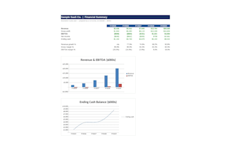 build a 3statement financial model and forecast for your startup