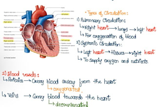 create easy and exam ready medical notes