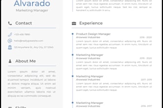 design a profesional CV in canva