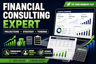 do financial consulting and projections for business plan and funding