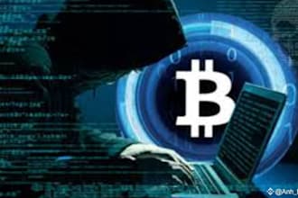 analysis crypto fundback, forensic analysis, crypto fraud detection,recovery