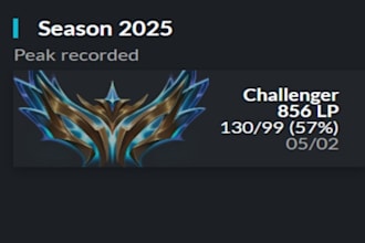 be your euw challenger league of legends coach