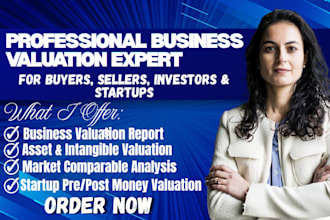 do a professional business, asset and startup company valuation report, 409a