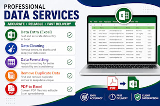 do clean, format, merge excel data
