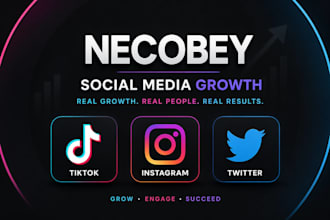 grow your instagram organically with a custom strategy