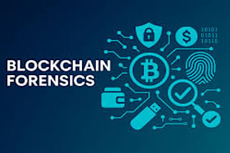 be cryptocurrency consultant, forensic investigator and blockchain