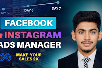 manage your social media ads marketing campaigns and ad creatives