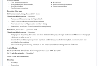 design a professional CV resume