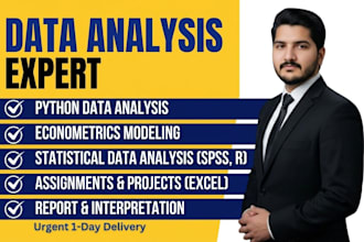 do econometrics, statistical data analysis assigned projects in python, r, spss