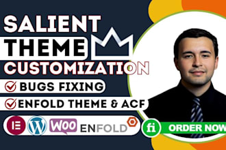 customize salient theme, wordpress website, wordpress theme, acf, enfold theme