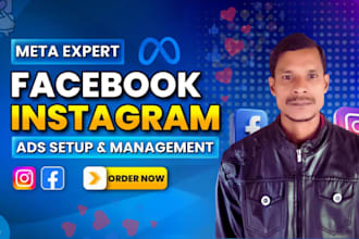 be your facebook ads manager and instagram ads expert