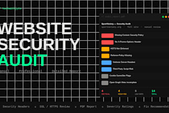 perform a website security audit and vulnerability report