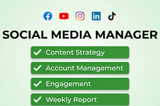 be your social media manager, content strategist, content creator