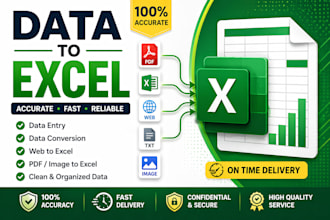 organize and input your data into excel